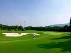 <b>有70%的高栖身率</b>